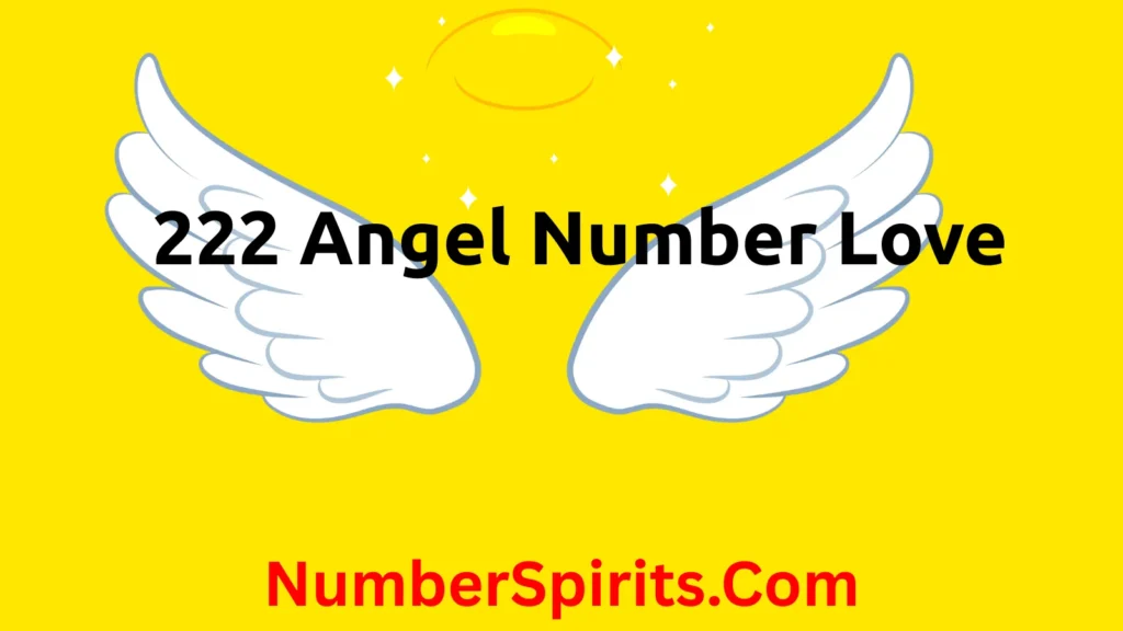 222 Angel Number Love