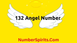 Read more about the article  132 Angel Number