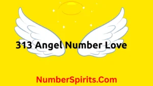 Read more about the article 313 Angel Number Love: Unlock the Meaning Behind This Divine Sign