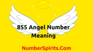 Read more about the article 855 Angel Number Meaning