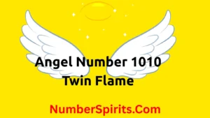Read more about the article Angel Number 1010 Twin Flame