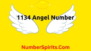 Read more about the article 1134 Angel Number