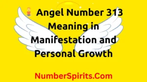 Read more about the article 🧘 Angel Number 313 Meaning in Manifestation and Personal Growth