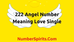 Read more about the article 222 Angel Number Meaning Love Single
