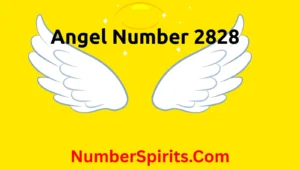 Read more about the article Angel Number 2828