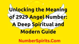 Read more about the article Unlocking the Meaning of 2929 Angel Number: A Deep Spiritual and Modern Guide